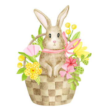 Watercolor spring bunny in floral basket illustration. Hand painted little Easter rabbit sitting in basket with flowers isolated on white background. Cute baby animal clipart. Brown hare for cards