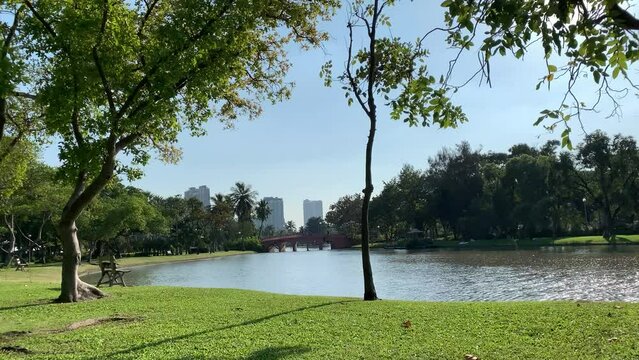 Public park view, blue sky landscape view, trees, a reflection from water and blurred high rise building. Calm and peace concept at Chatuchak Public Park on a sunny day