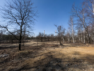 High chimneys of zinc and lead smelters
