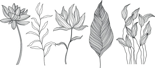 Abstract flowers isolated on white. Hand drawn line vector illustration. Eps 10