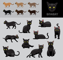 Cat Bombay Cartoon Vector Illustration Color Variation Set