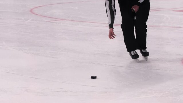 Hockey referee in black uniform takes puck from ice arena at sports tournament close view. Winter athletic game
