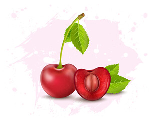 Fototapeta na wymiar Cherries vector illustration with half piece of cherry fruit