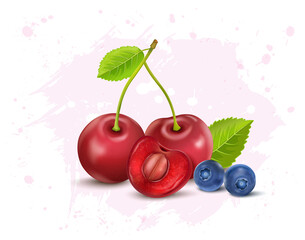 Fototapeta na wymiar Cherry fruit vector illustration with blueberries and green leaves
