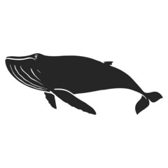 Hand drawn icon humpback whale
