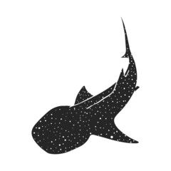 Hand drawn icon whale shark © puruan