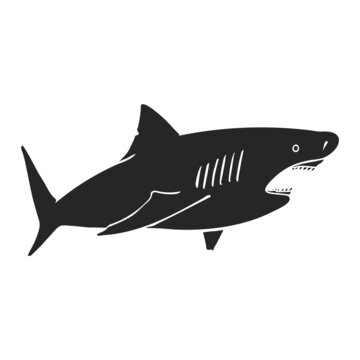 Hand drawn icon shark