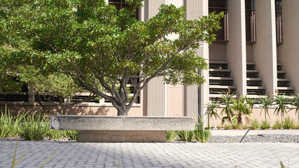 Around town. Cropped shot of the Cape Town CBD.