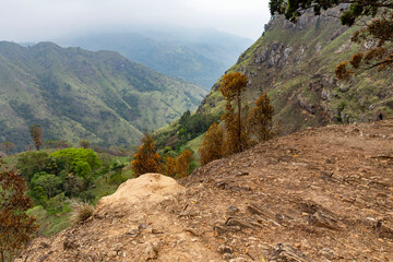 Sri Lanka. Ella. View of Mount Small Adam Park from the slope of Mount Ella Rock.