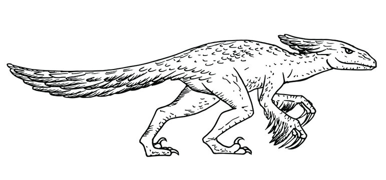 Pyroraptor dinosaur vector stock illustration.