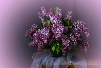bouquet of lilac flowers