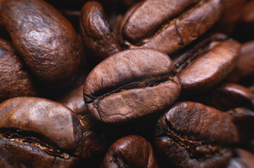 Close up extreme macro group of roasted brown or black coffee beans background in shallow depth of field. Enchanting coffee aroma