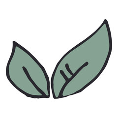 Simple leaf design element isolated.
