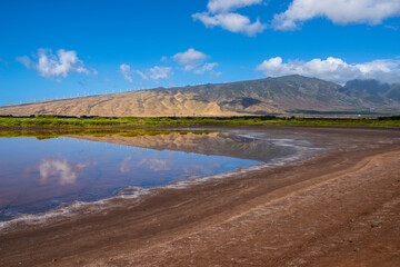 kealia pond refuge scenery in maui