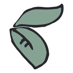 Simple leaf design element isolated.