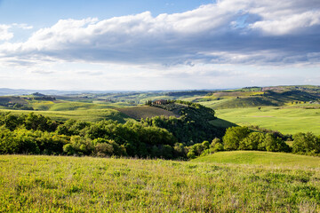 Fototapeta premium Agriculture landscape with field and blue sky