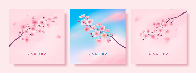 Spring cherry blossom landscape background. Hand drawn card, poster, banner or cover design template with blossoming sakura flowers