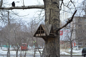 bird feeder attached to a tree