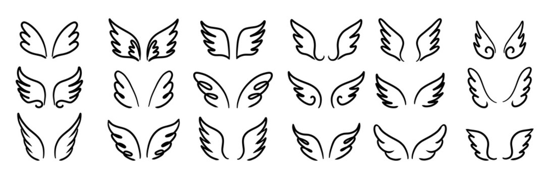 Wings birds and angel. Cartoon doodle bird tattoo wing icon. Feather sketch handdrawn collection
