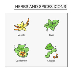 Herbs and spices color icons set. Different types of seasoning. Vanilla, basil, cardamon, allspice.Food preparation concept. Isolated vector illustrations