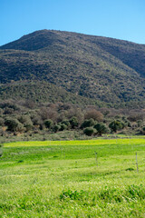 Obraz premium landscape with green grass and hills in the Aures mountains, Algeria