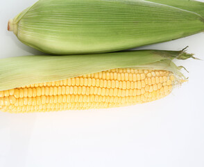 Fresh ripe sweet corn with green leaves, isolated on white background.