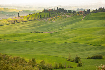 Obraz premium Tipico paesaggio toscano in periodo primaverile 