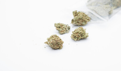 set of marijuana with plastic hermetic bag , white background. Space for text