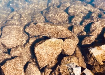 overgrown rocks lie under water on the bank of a river