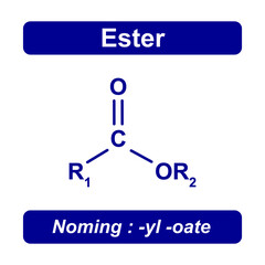 Ester Group Chemical Structure. Vector Illustration.