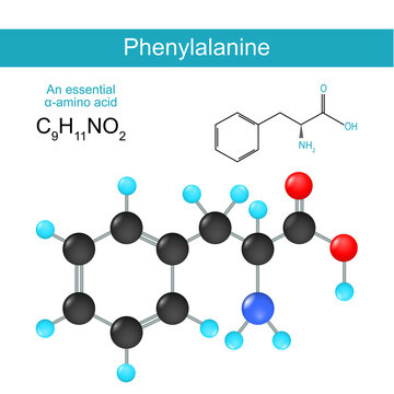 phenylalanine. Structural chemical formula