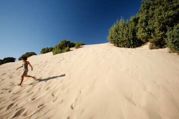 dettaglio di dune di sabbia in una spiaggia con un cielo blu sullo sfondo 