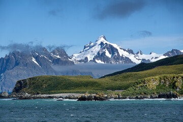 Peninsula covered in lush vegetation in front of snow covered mountains at Coopers Bay, South...