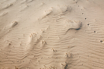 Fototapeta na wymiar dettaglio delle impronte su dune di sabbia in un deserto