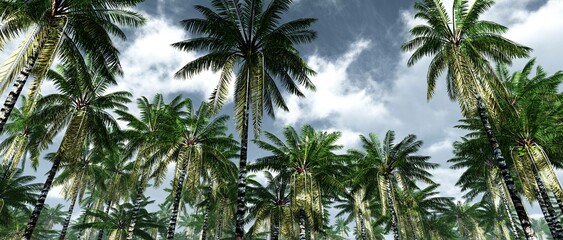 Fototapeta premium Palm trees against the sky with clouds, tropical trees on the sky, palm trees bottom view, jungle and sky, 3d rendering