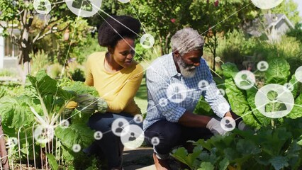 Network of profile icons against african american father and daughter gardening in the garden