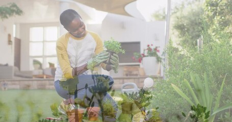 Composite video of plants in the garden against african american woman holding a plant at home