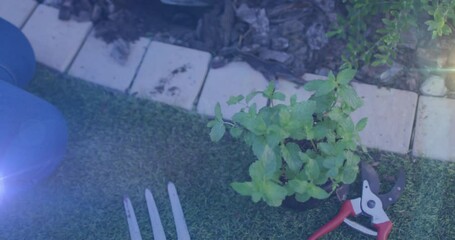 Spot of light against mid section of african american woman gardening in the garden
