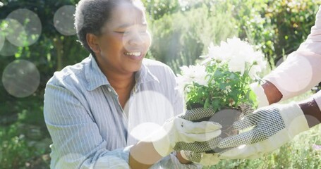 Spots of light against african american senior couple gardening together in the garden