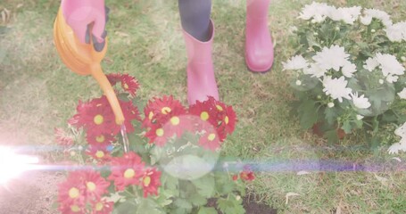 Spots of light against mid section of a woman watering plants in the garden