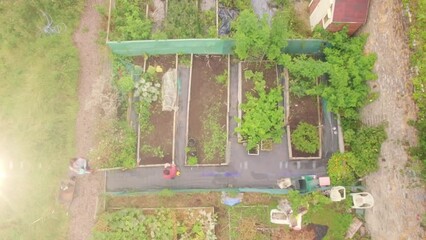 Spot of light against aerial view of caucasian couple watering plants in the garden