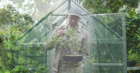 Composite video of tall trees against asian senior man holding a plant pot in the garden