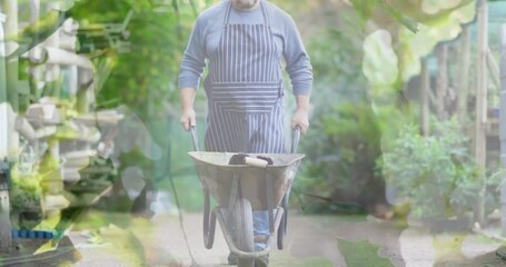 Composite video of hanging leaves against caucasian senior man moving a garden cart in the garden