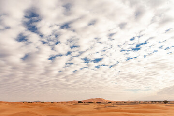 Paesaggio desertico in marocco 