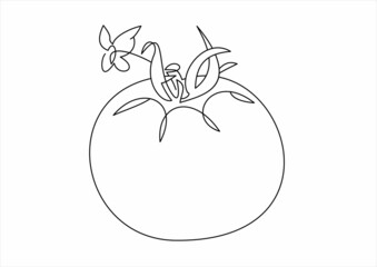 Vector Tomato icon Vegetables logo. Thin line art design, sketches illustrations