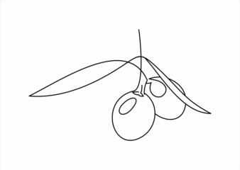 Olive line icon, outline vector sign, linear pictogram isolated on white.