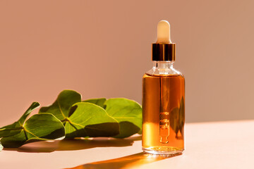 Cosmetic glass dropper bottle with oil, serum or fruit peeling in the sunlight. Green eucalyptus in soft focus. Beauty product presentation on natural background. Front view. Mockup concept 