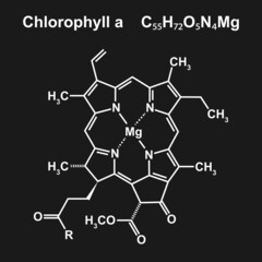 Chlorophyll a Chemical Structure on Black Background. Vector Illustration.