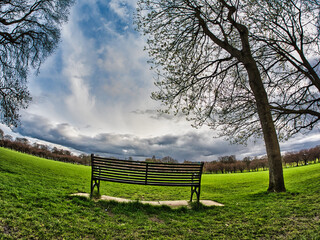 bench in the park