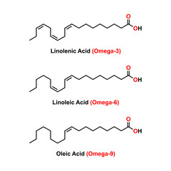 Chemical Structure Of Some Fatty Acids (Linolenic Acid, Linoleic Acid And Oleic Acid). Vector Illustration.